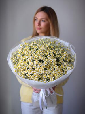 Букет из ромашек L