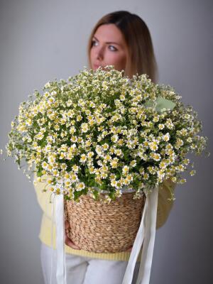 Букет в корзине из ромашек L